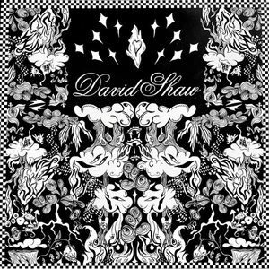 David Shaw Vinyl